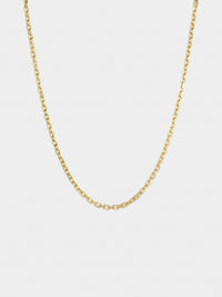 Classic Gold Anchor Chain